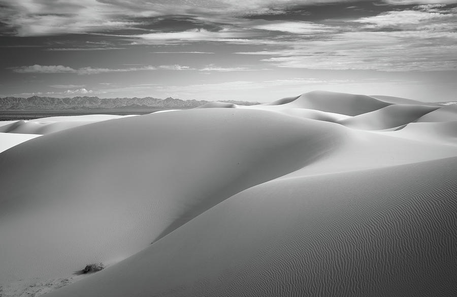Black And White Photograph - Creme by Alexander Kunz