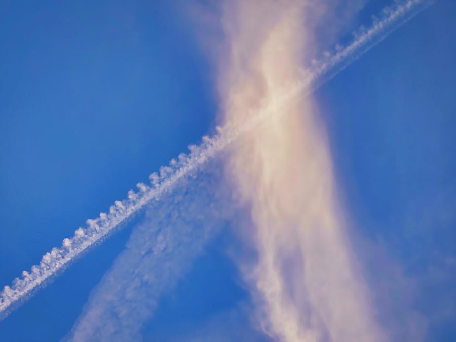 Crenellated Contrail Sylph Photograph