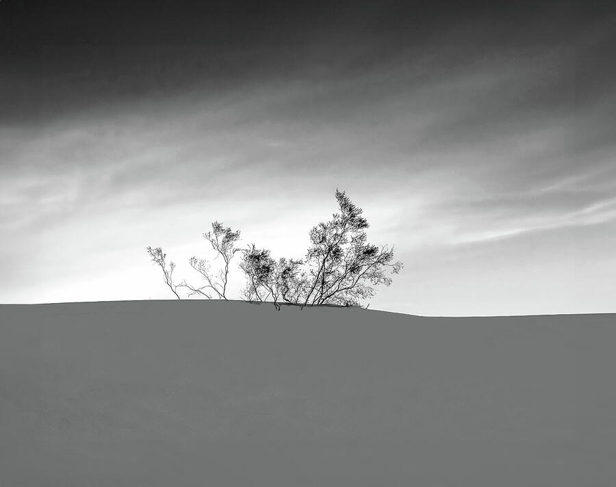 The Morning Light Photograph by Joe Schofield The Morning Light Photograph by Joe Schofield