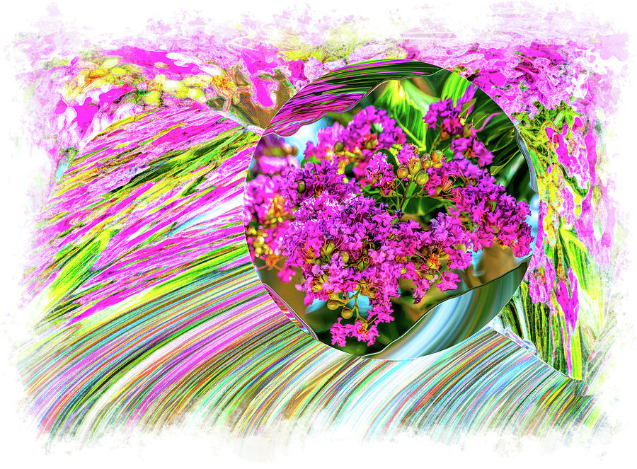 Crepe Myrtle Flowers in Abstract Photograph by Faith Burns