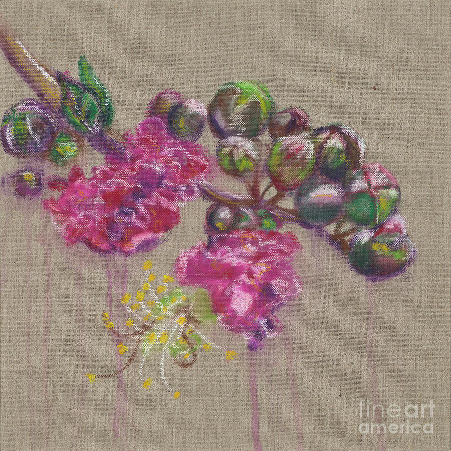 Crepe Myrtle with Berries 02 Painting by Sarah Arace