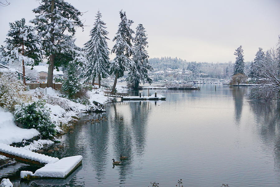 Crescent Creek Winter Photograph by Bill TALICH