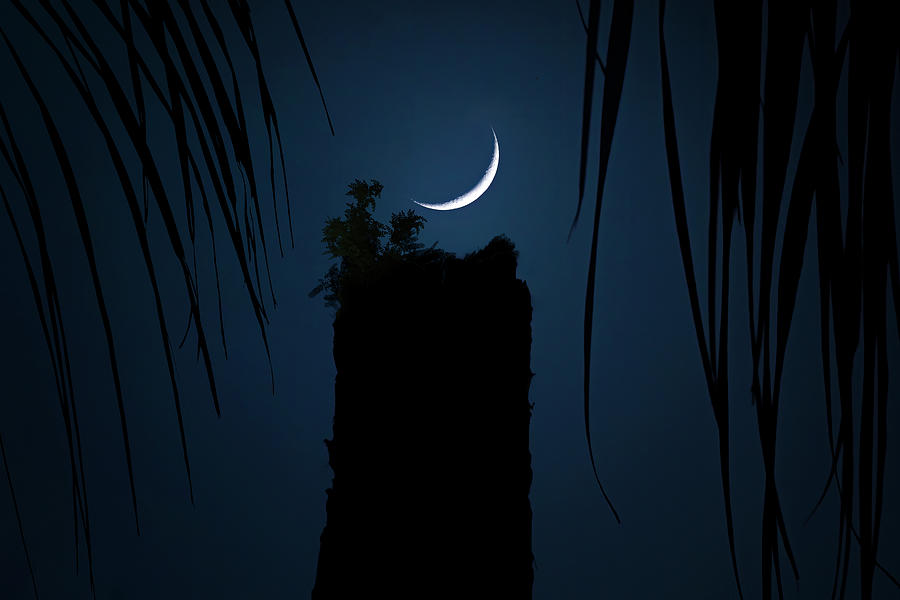 Crescent Dreams Photograph by Mark Andrew Thomas