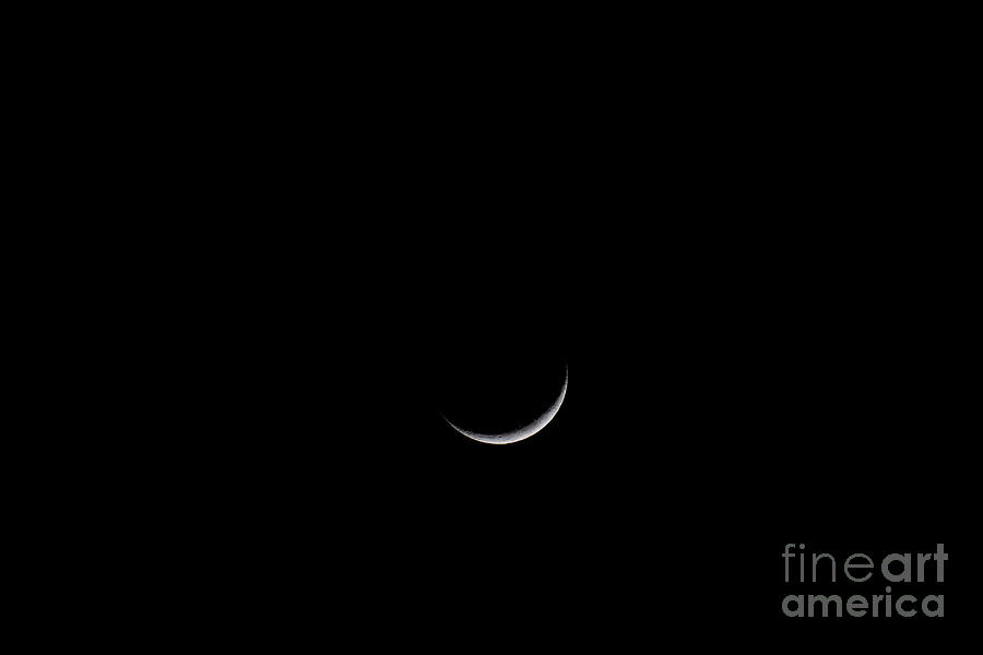 Crescent Moon 1-27-2020 Photograph by Dale Powell