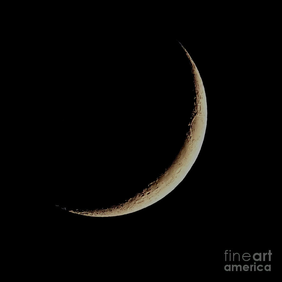 Moon Photograph - Crescent Moon by Dani Stites