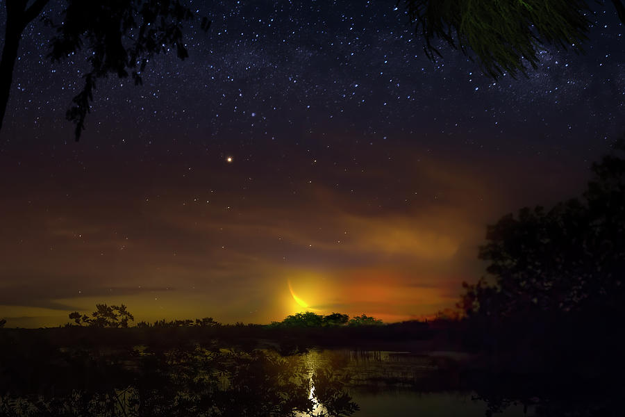 Crescent Moon in the Swamp Photograph by Mark Andrew Thomas