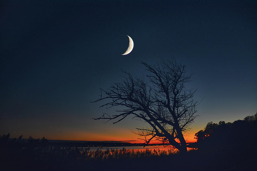 Crescent Moon of the Navesink River Photograph by Raymond Salani III