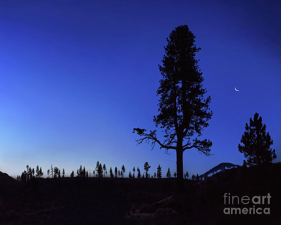 Crescent Moon Over The Eastern Sierras Photograph by Don Schimmel