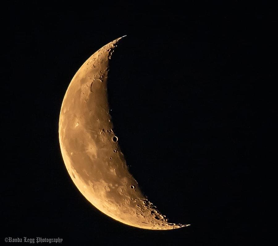 Crescent moon Photograph by Ronda Legg - Fine Art America