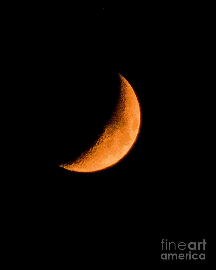 Crescent Moon Photograph by Shirley Dutchkowski