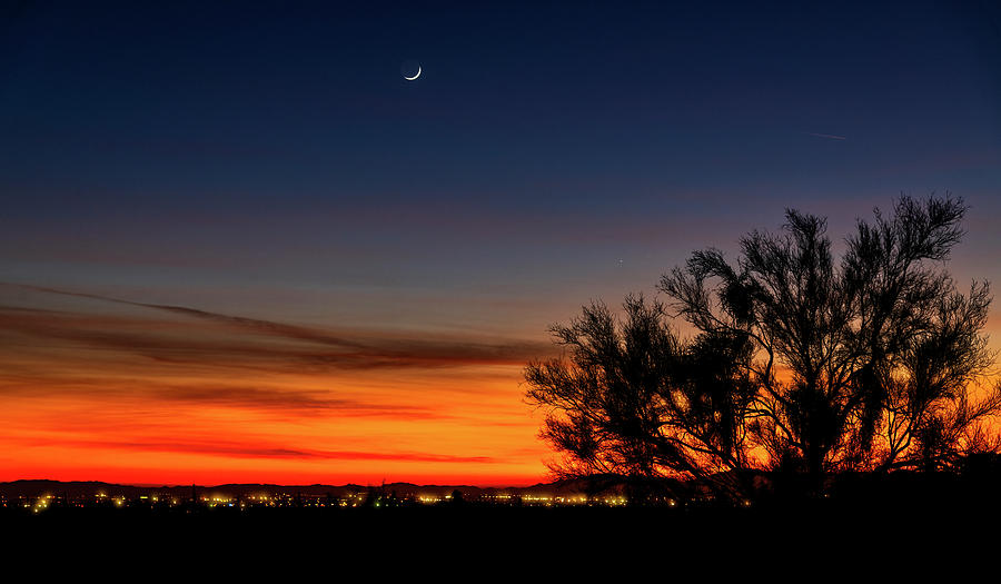 Sunset Photograph - Sonoran Crescent Moon   by Saija Lehtonen