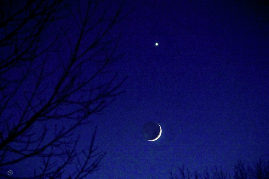 Crescent Moon with Venus Photograph by Andrew Zydell - Fine Art America