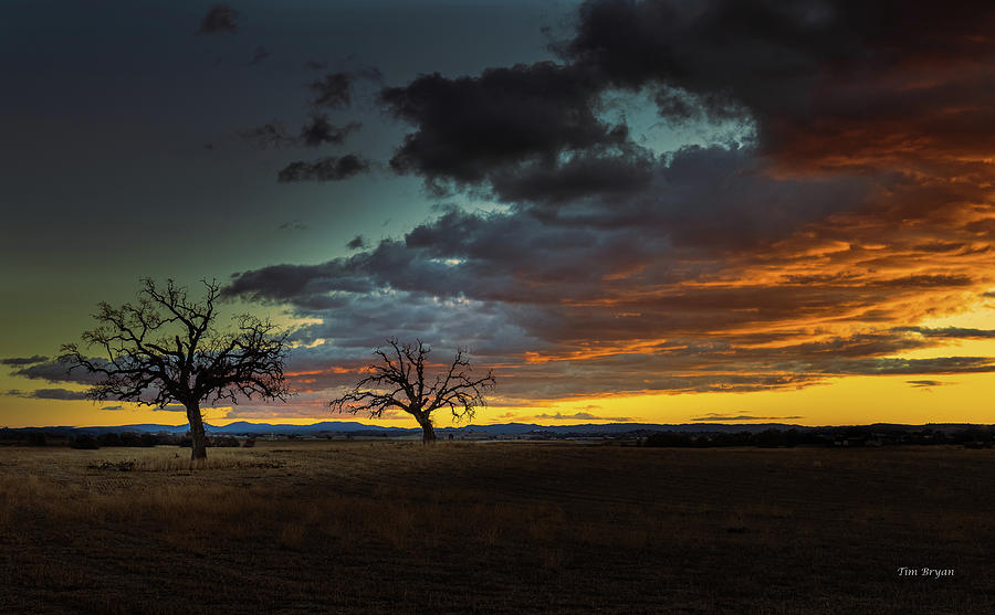 Sunset Photograph - Crescent by Tim Bryan