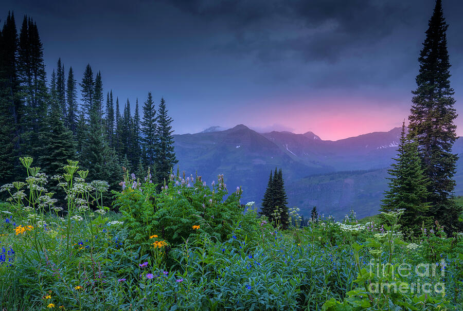 Crested Butte Sunset Photograph by Priscilla Burgers