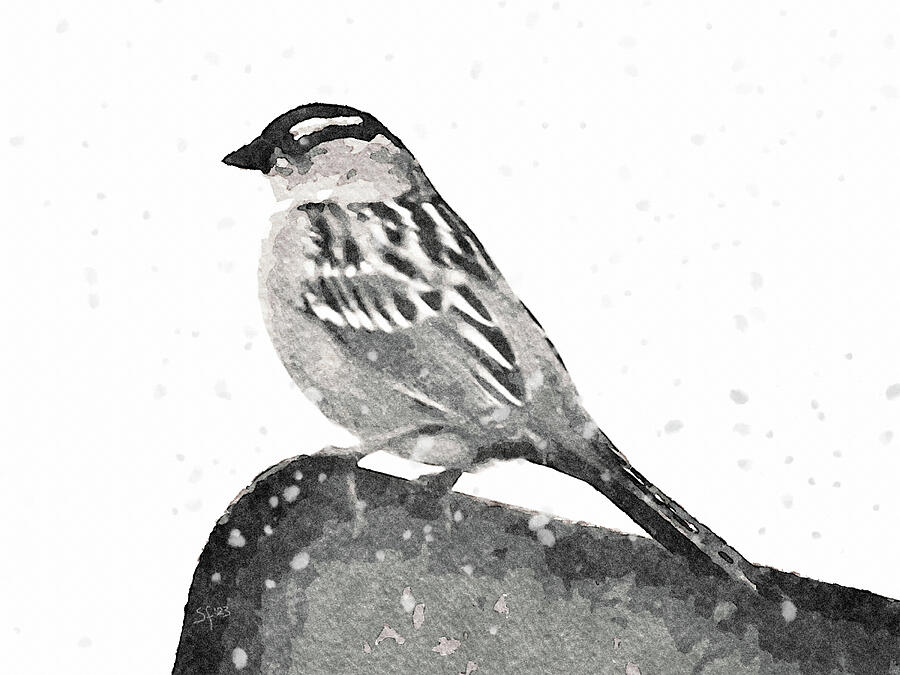 Crested Sparrow in the Snow-Bird Painting  Digital Art by Shelli Fitzpatrick