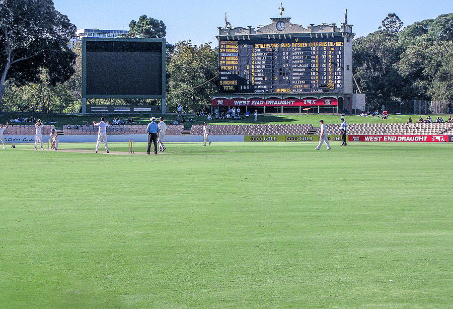 Cricket Adelaide Oval Photograph By Deane Palmer Pixels