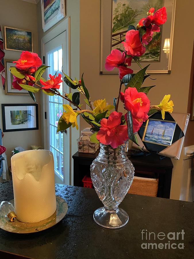 Crimson Candles Camellia in Crystal Vase in Clayton North Carolina  Photograph by Catherine Ludwig Donleycott