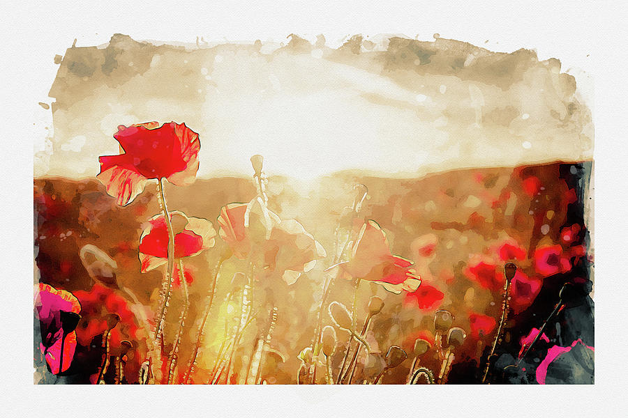 Crimson Fields Digital Art by Airpower Art