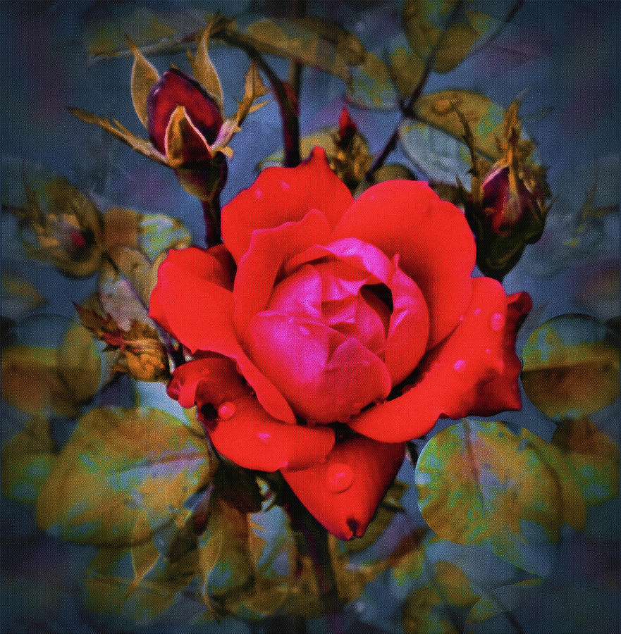 Crimson Glory Rose Mixed Media by Natalie Holland