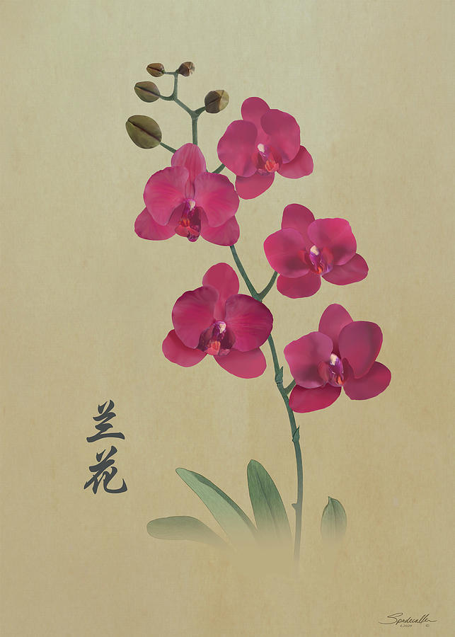 Crimson Orchid Digital Art by M Spadecaller