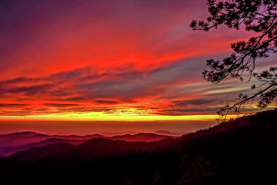 Crimson Sunset Photograph by Brett Harvey