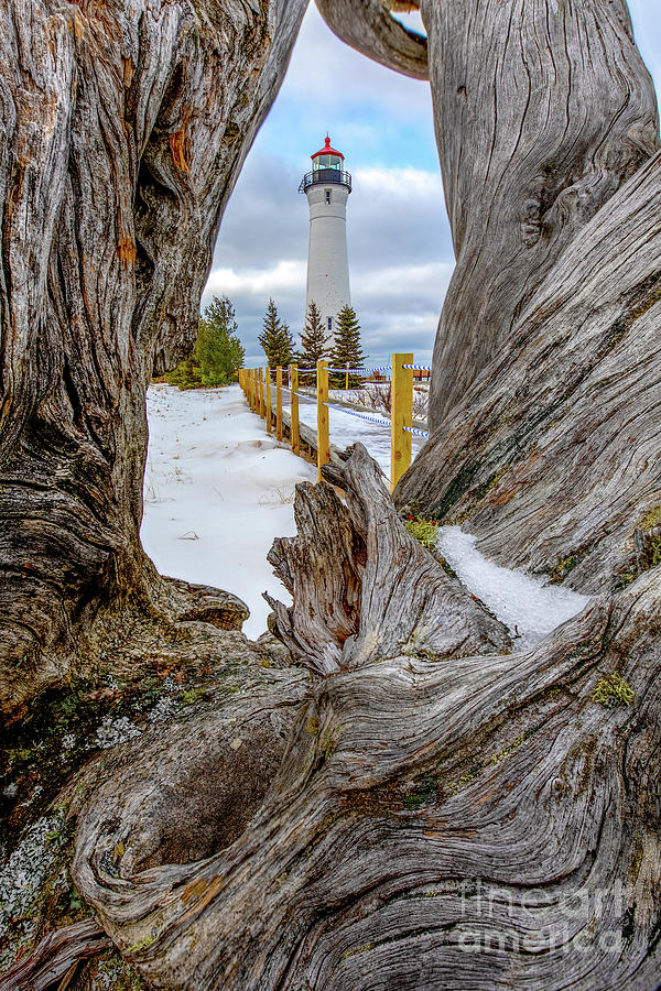 Crisp Point Lighthouse Winter Driftwood -0021 Photograph by Norris Seward