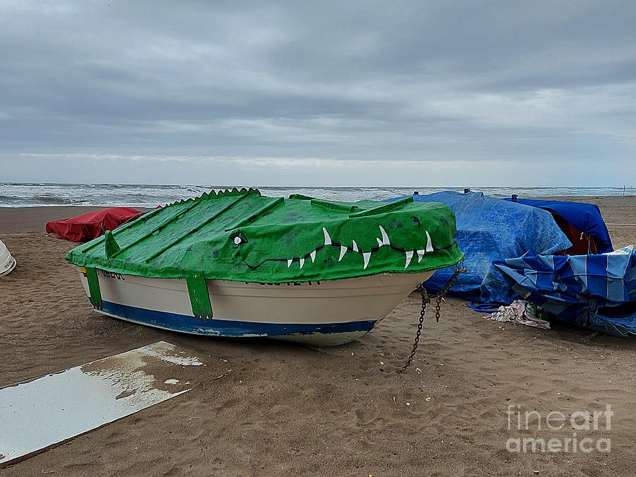 Crocodile at Carihuela Beach Photograph by Chani Demuijlder