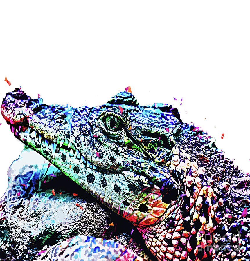 Crocodile Baby Digital Art By Trindira A