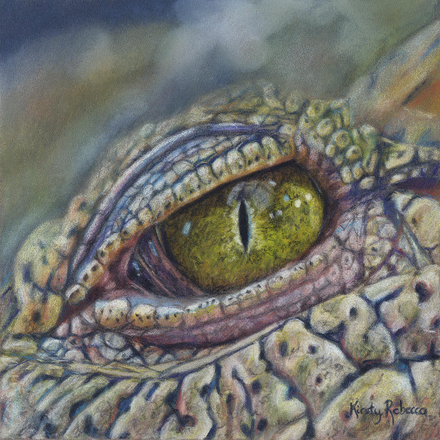 Crocodile Eye Study Drawing by Kirsty Rebecca