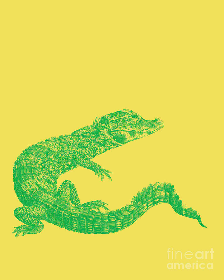 Crocodile Digital Art - Crocodile In Green And Yellow by Madame Memento