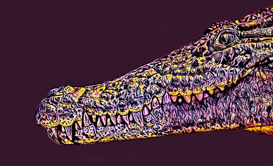Crocodile  Digital Art by La Moon Art