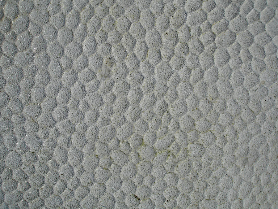 Crocodile skin texture plastic coating Photograph by Efekt.net Crocodile skin texture plastic coating Photograph by Efekt.net