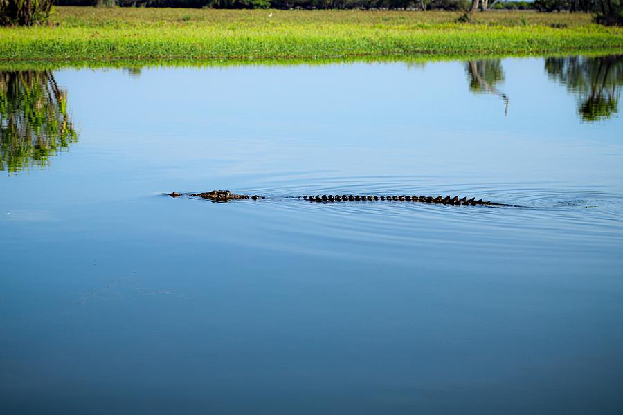 Crocodile Waters Photograph by David Agius