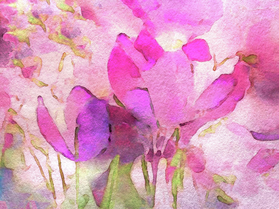 Crocus so Pink Digital Art by Susan Maxwell Schmidt