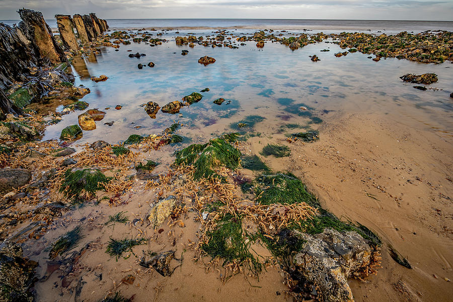 Cromer beach rockpool on the North Norfolk Coast Photograph by Chris Yaxley