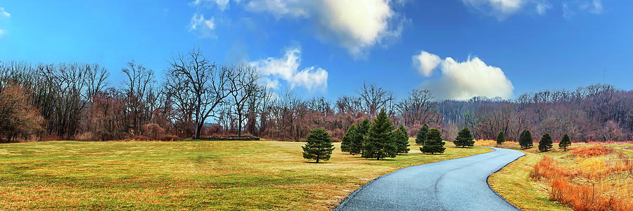 Cromwell Valley Park Photograph by Reynaldo Williams