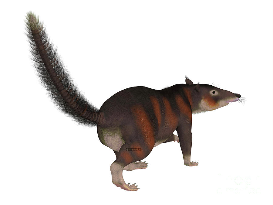 Cronopio Mammal Tail Digital Art
