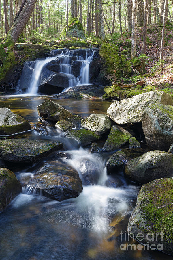 Nature Photograph - Crooked Brook - Woodstock, New Hampshire by Erin Paul Donovan
