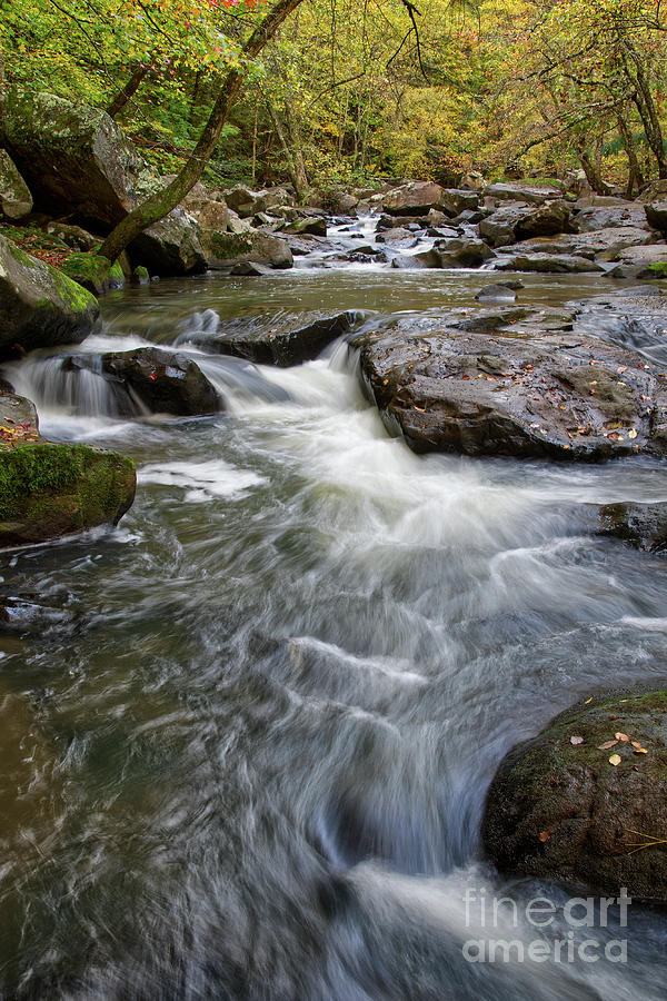 Crooked Fork Creek 1 Photograph by Phil Perkins
