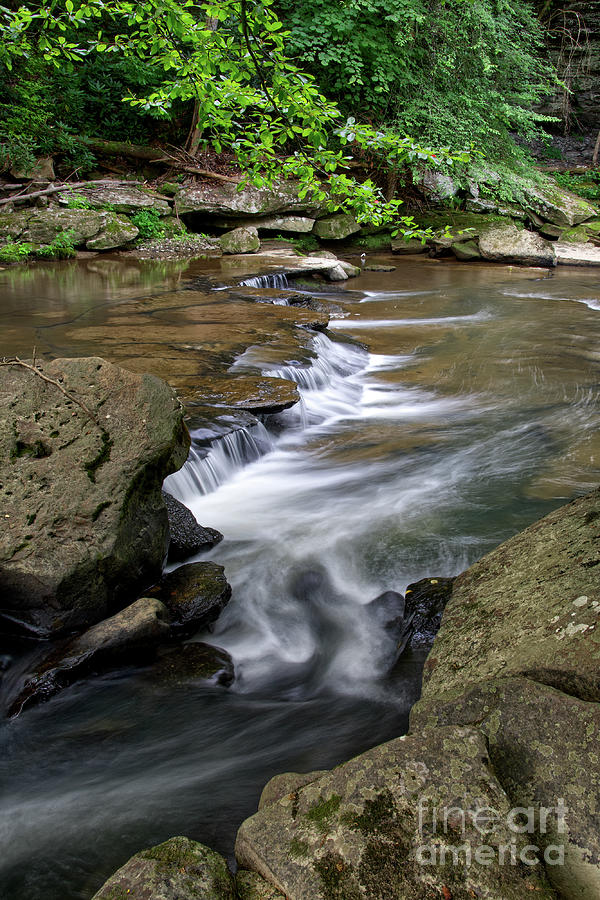 Crooked Fork Creek Photograph by Phil Perkins