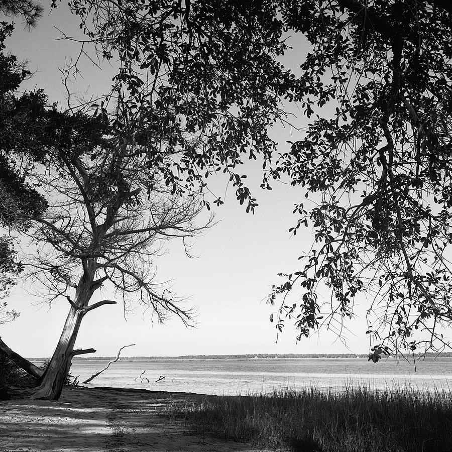 Crooked River State Park5 Photograph by Rudy Umans