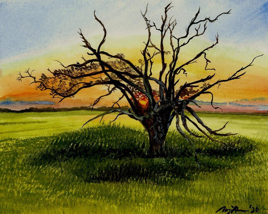 Crooked Tree Painting by Mary Thompson Fine Art America