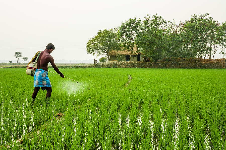 Crop protection pesticide spray Photograph by Rajdeep Ghosh