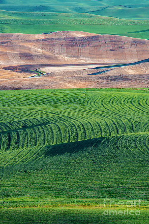 Crops and Plowed Fields of Palouse Photograph by Bob Phillips - Fine ...