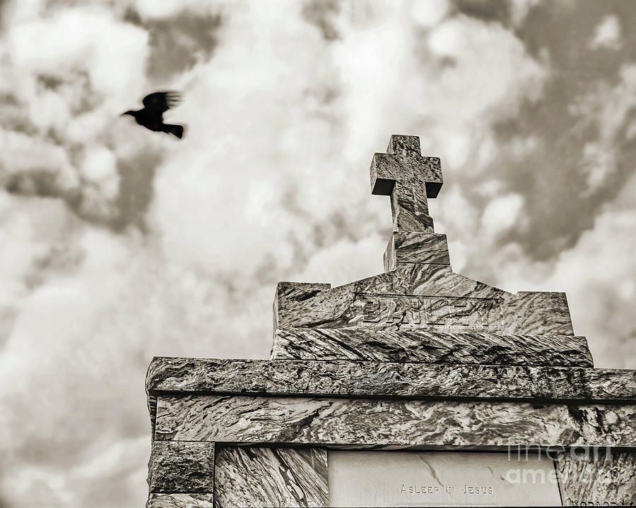 Cross And Crow, New Orleans, Louisiana Photograph by Don Schimmel