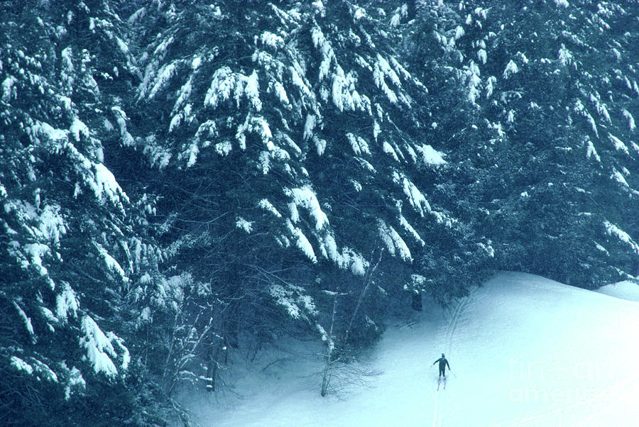 Cross Country Skier. Photograph by George Robinson