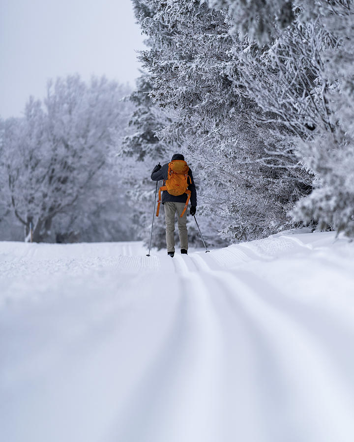 Cross-country Skiing In The Blackforest Photograph by Dennis Krumm ...