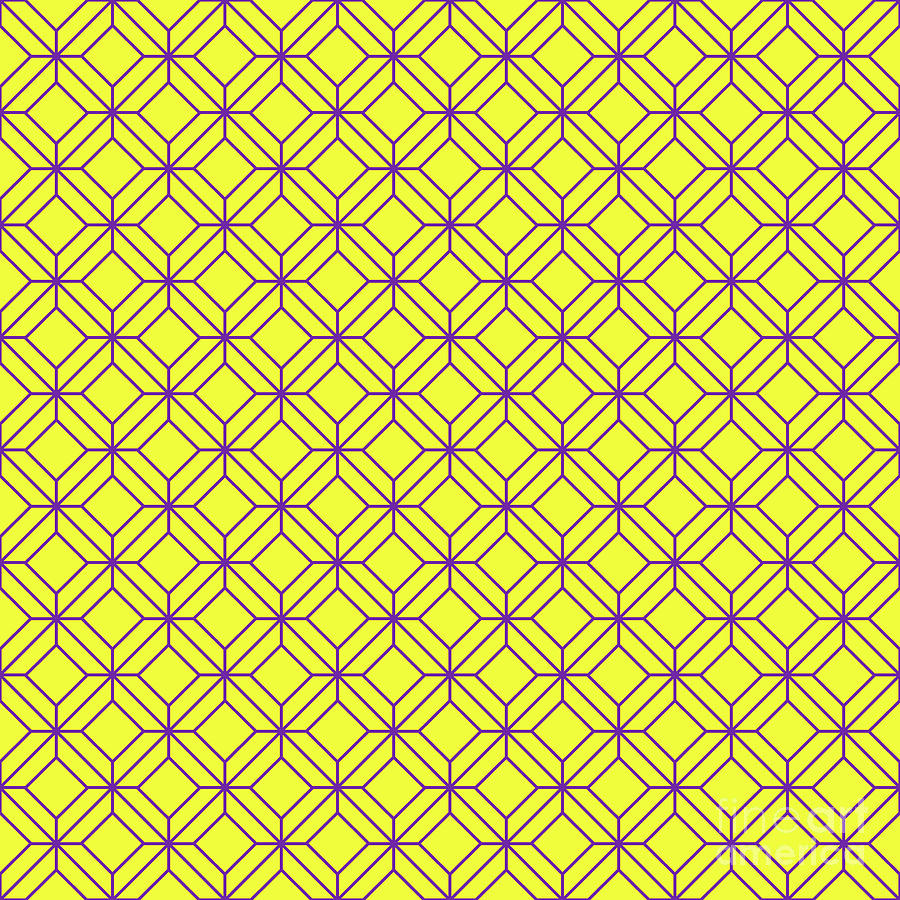 Cross Lattice Pattern In Sunny Yellow And Iris Purple N.1206 Painting