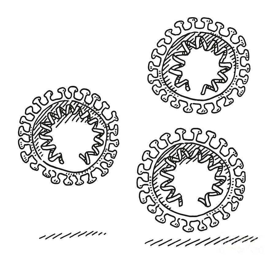Black And White Drawing - Cross Section Of Coronavirus Drawing by Frank Ramspott