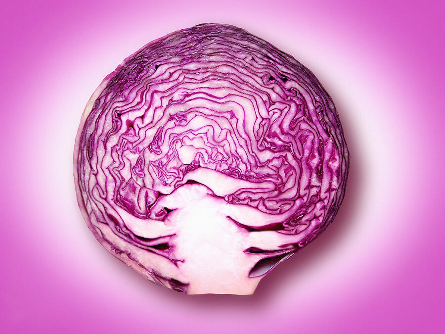 Cross-section of savoy cabbage against purple background Photograph by Steven Puetzer